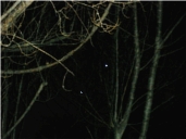 Venus and Jupiter in the west
